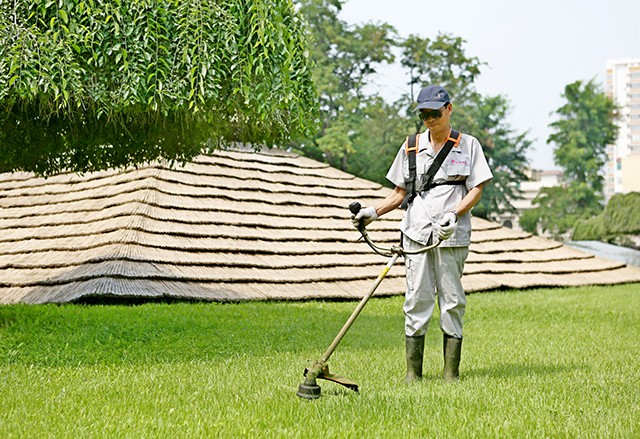园艺师傅工作中
